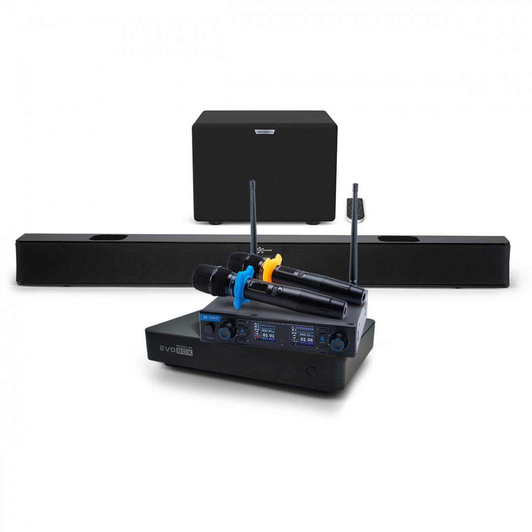 Hi-End караоке-система EVOBOX Premium + EvoSoundBar (саундбар с караоке) в Советской Гавани