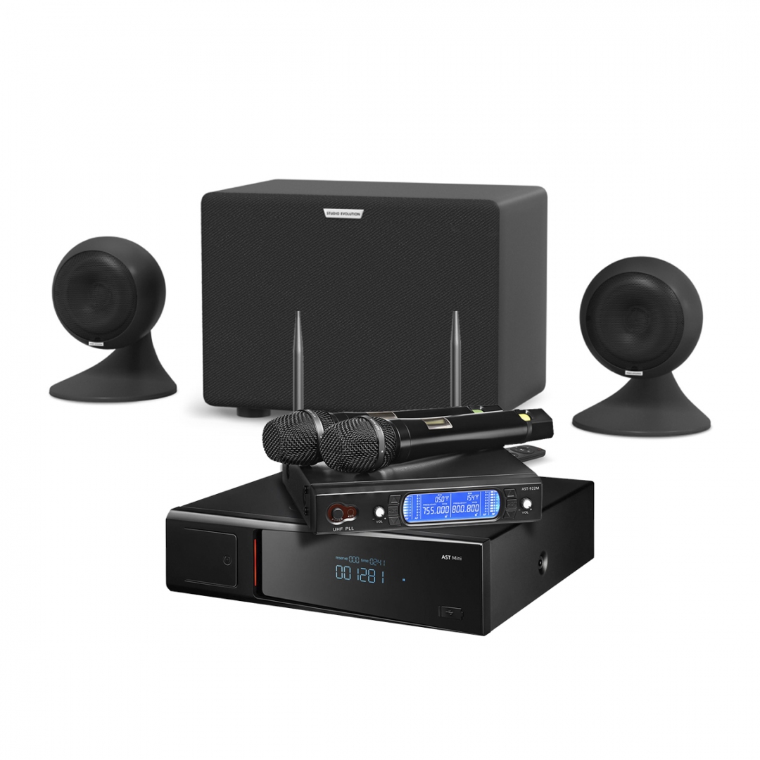 караоке-комплект AST Mini Sound Sphere в Советской Гавани