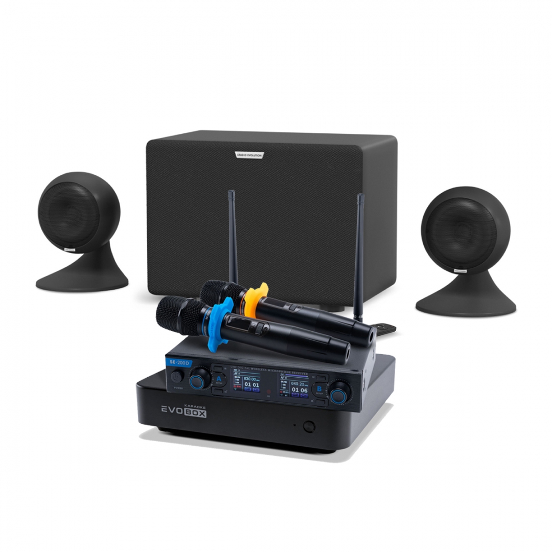 караоке-комплект EVOBOX + EvoSound Sphere 2.1 в Советской Гавани