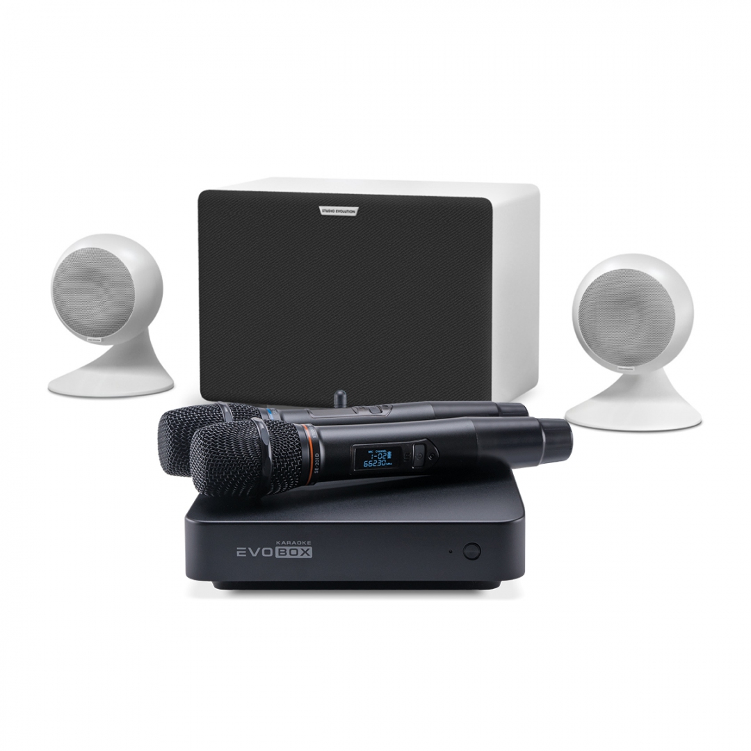 караоке-комплект EVOBOX Classic + EvoSound Sphere 2.1 в Советской Гавани