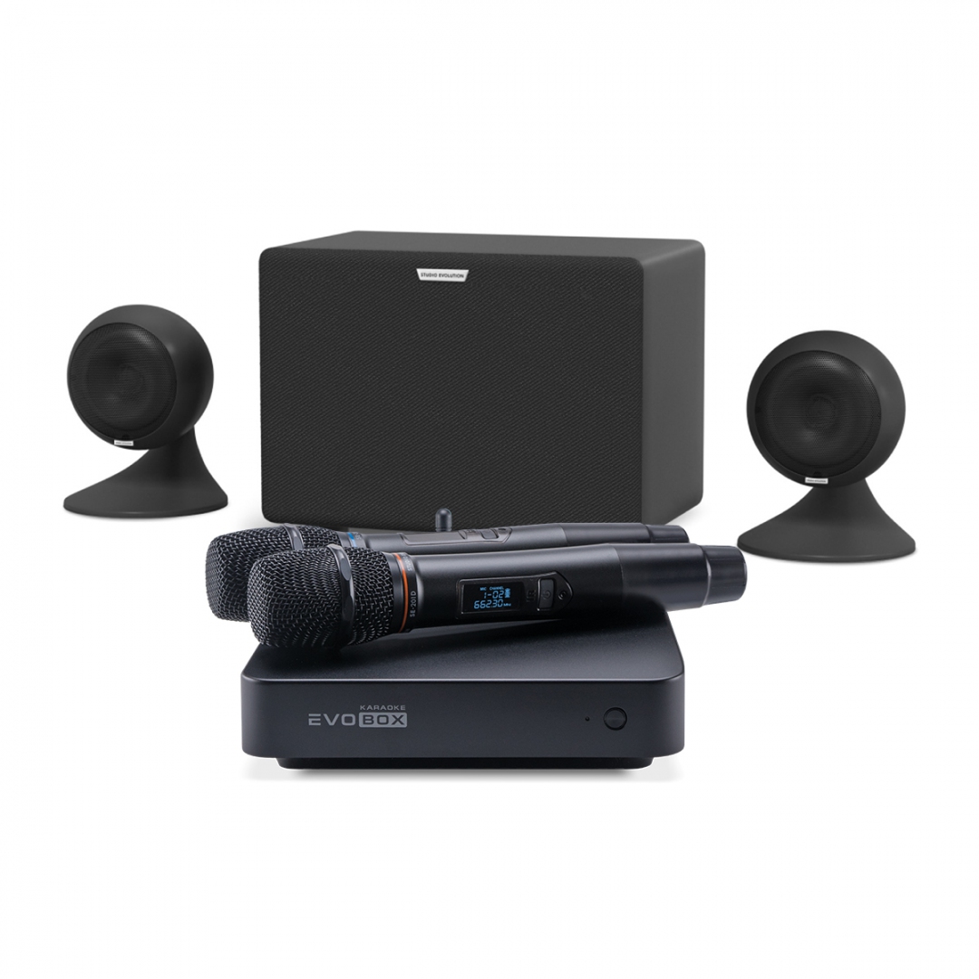 караоке-комплект EVOBOX Plus + EvoSound Sphere 2.1 в Советской Гавани