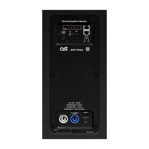 Активная акустическая система AST-310A в Советской Гавани