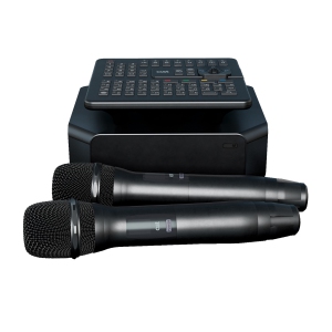 караоке-комплект для Дома AST ZOOM 1/2 и AST-SM6A в Советской Гавани